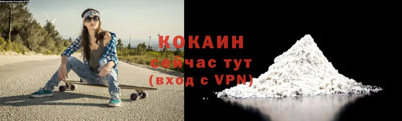 Cocaine FishScale  Новомичуринск 