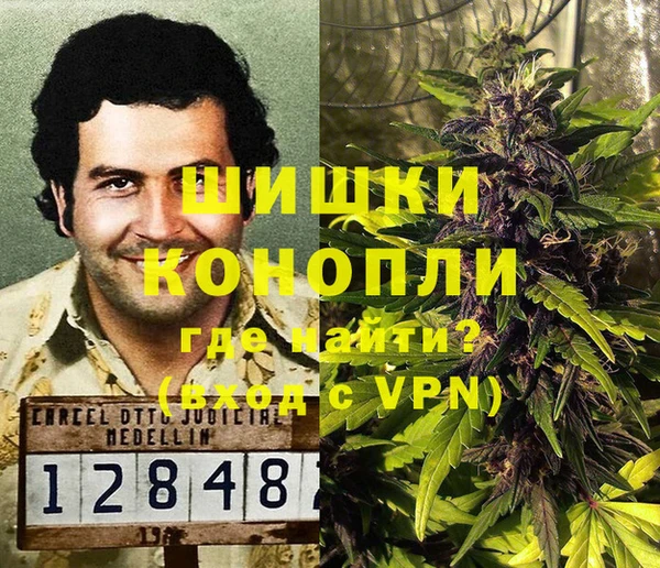 индика Медногорск