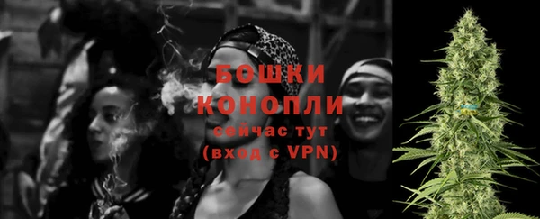 индика Медвежьегорск