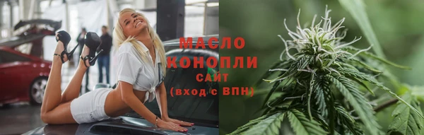 индика Медвежьегорск