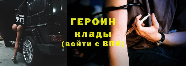 индика Медвежьегорск