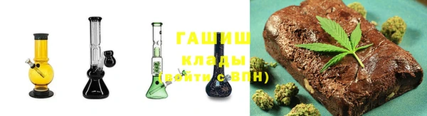 индика Медвежьегорск