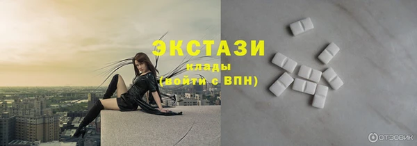 индика Медногорск