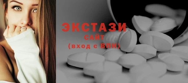 индика Медногорск