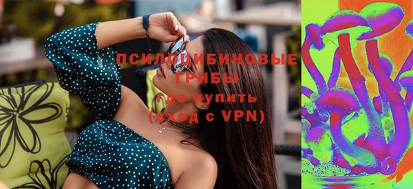 индика Медвежьегорск