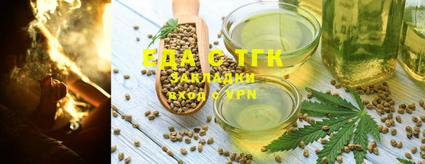 индика Медногорск