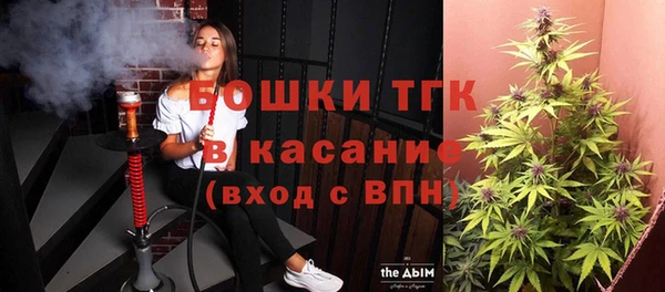 сатива Магадан
