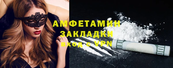 индика Медвежьегорск