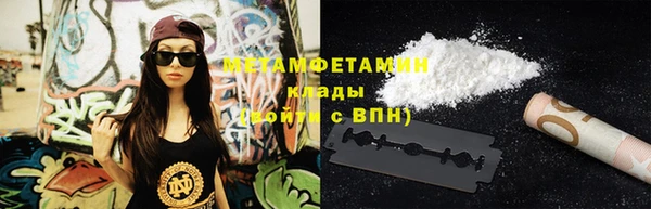 индика Медвежьегорск