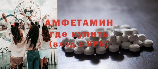 мдпв Магас