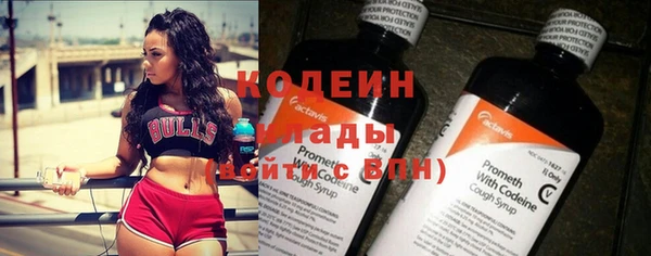 индика Медногорск
